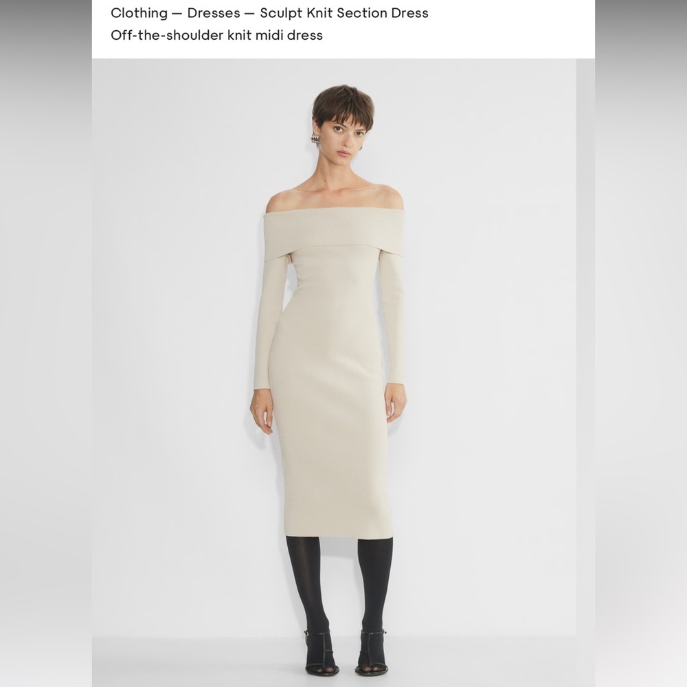 Aritzia Babaton Sculpt Knit Off the Shoulder Section Dress - Matte Pearl - Small